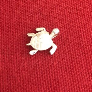 Turtle Charm . Super cute